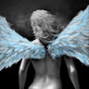 Meet your Posher, Angel's